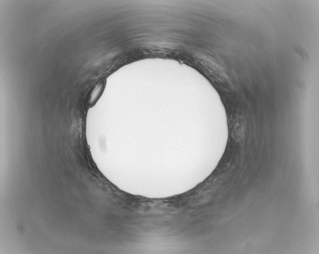 X0000115251061200911271900