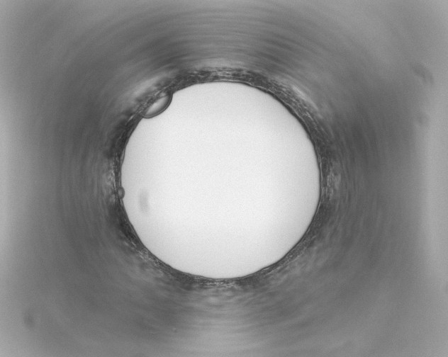 X0000115251062200911271900