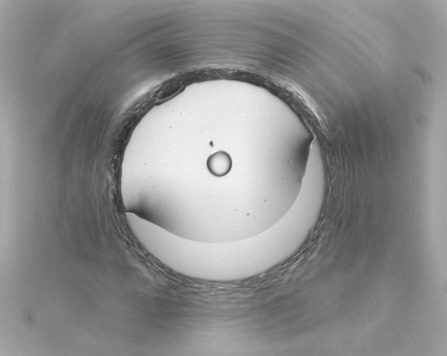 X0000115251064200911271900