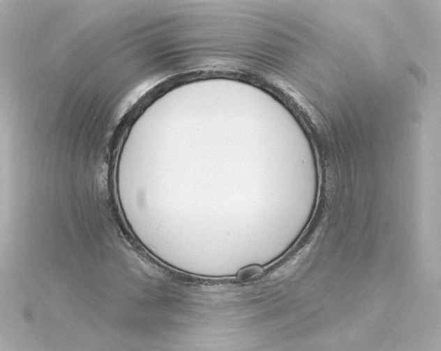 X0000115251066200911271900