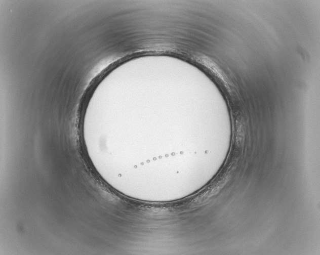 X0000115251071200911271900