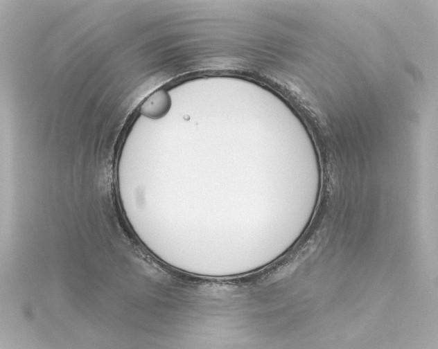 X0000115251073200911271900