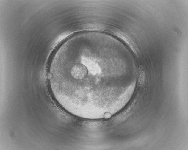 X0000115251074200911271900