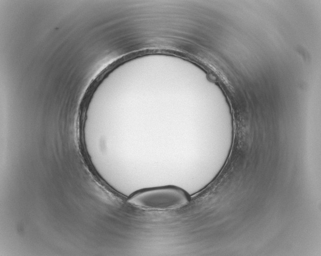 X0000115251076200911271900