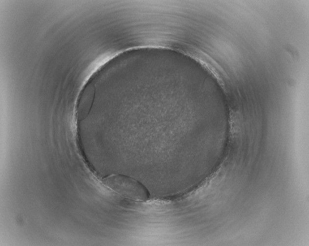 X0000115251077200911271900