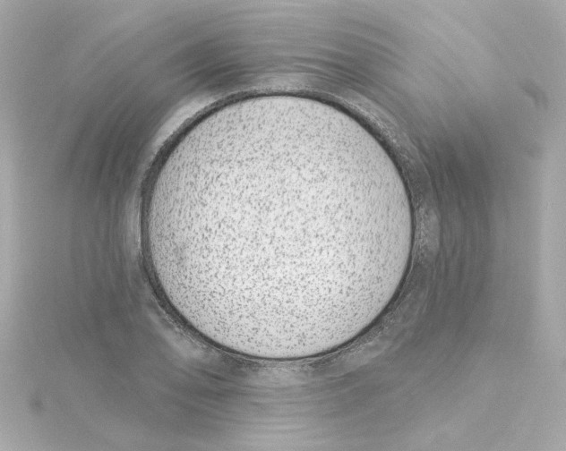 X0000115251078200911271900