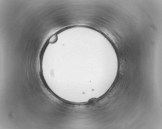 X0000115251080200911271859