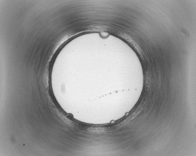 X0000115251083200911271859