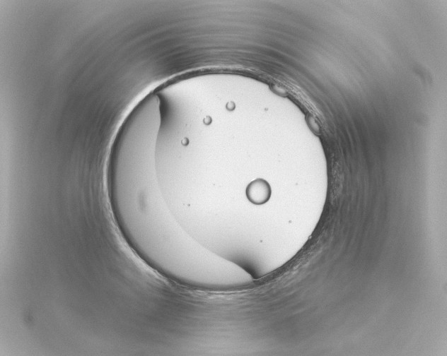 X0000115251084200911271859