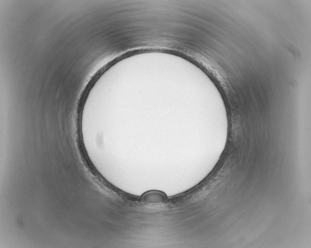 X0000115251085200911271859