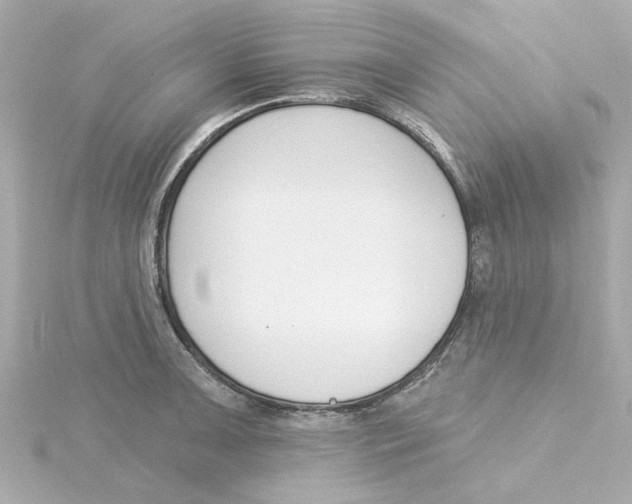 X0000115251091200911271859