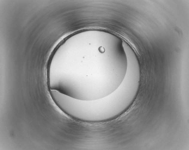 X0000115251092200911271859