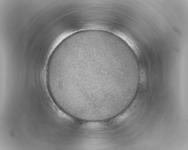 X0000115251094200911271859