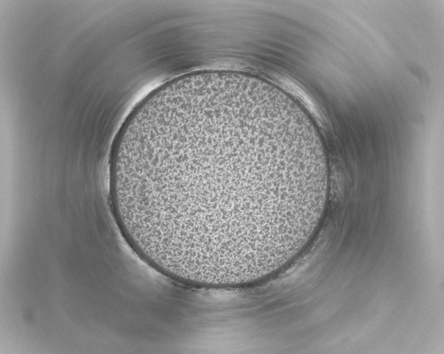 X0000115251095200911271859