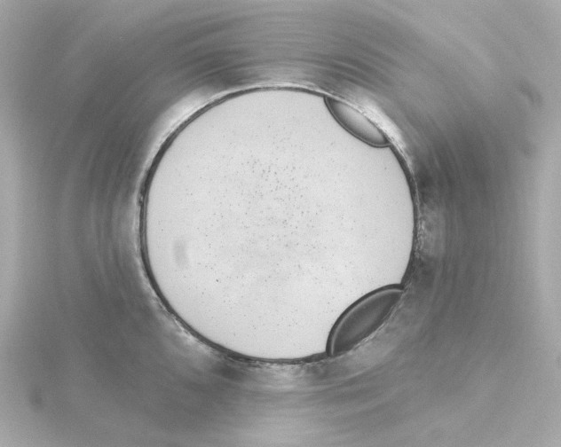 X0000115251096200911271859