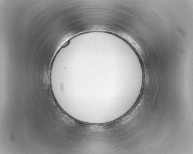 X0000115251097200911271859