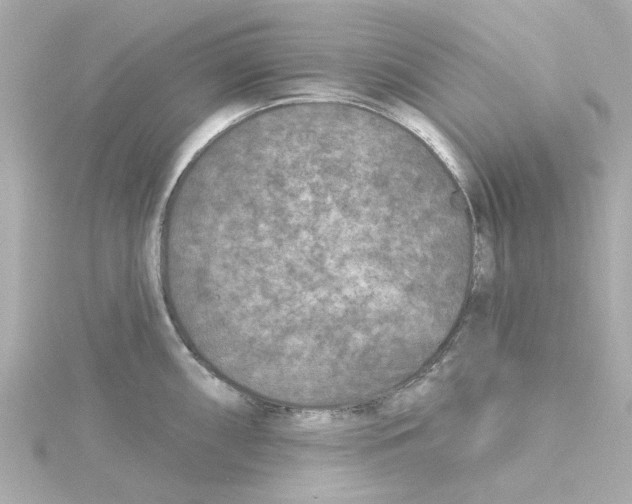 X0000115251098200911271859