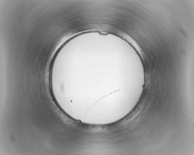 X0000115251099200911271859