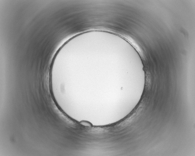 X0000115251100200911271859