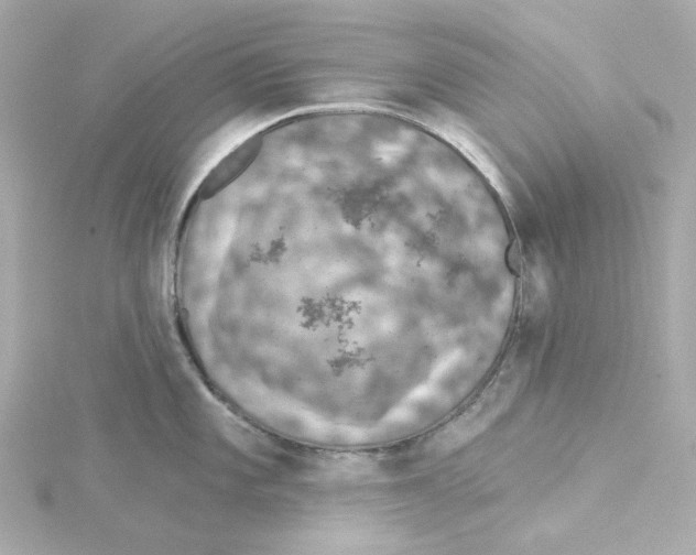 X0000115251101200911271859