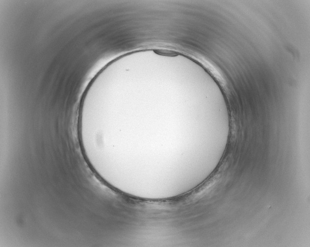 X0000115251102200911271859