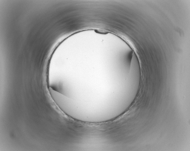 X0000115251104200911271859