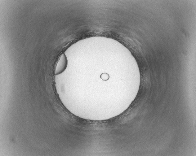 X0000115251105200911271859