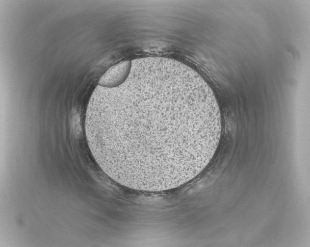 X0000115251106200911271859