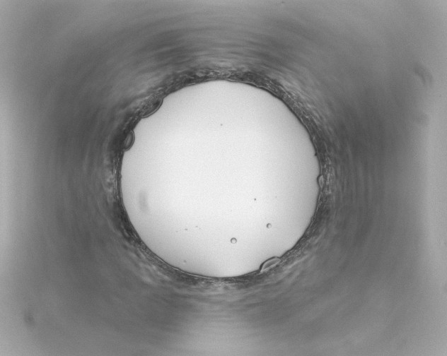 X0000115251109200911271859