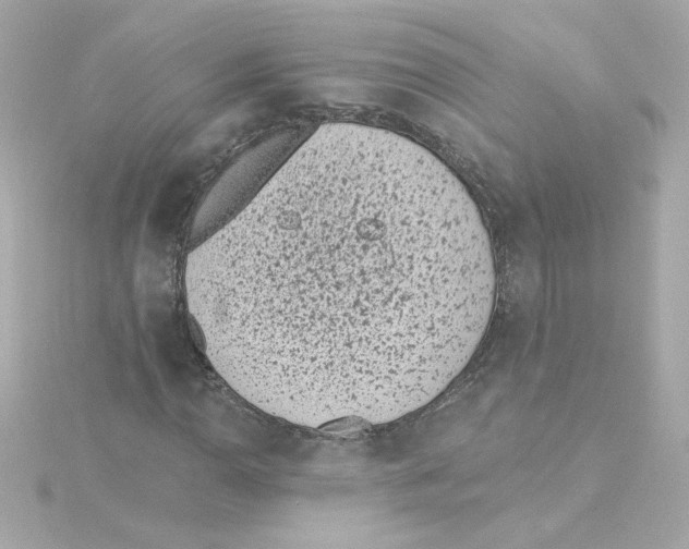 X0000115251110200911271859