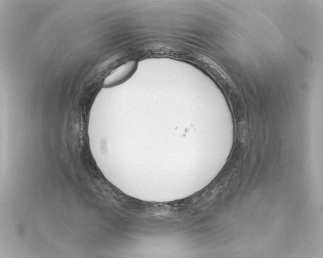 X0000115251111200911271859