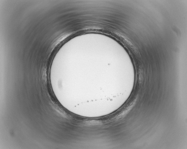 X0000115251113200911271859