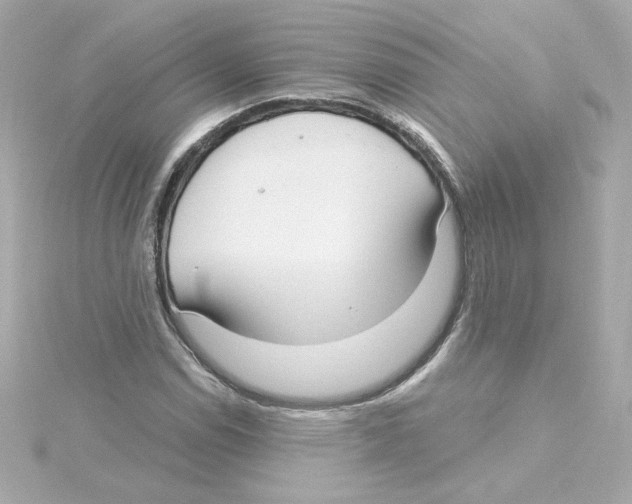 X0000115251114200911271859