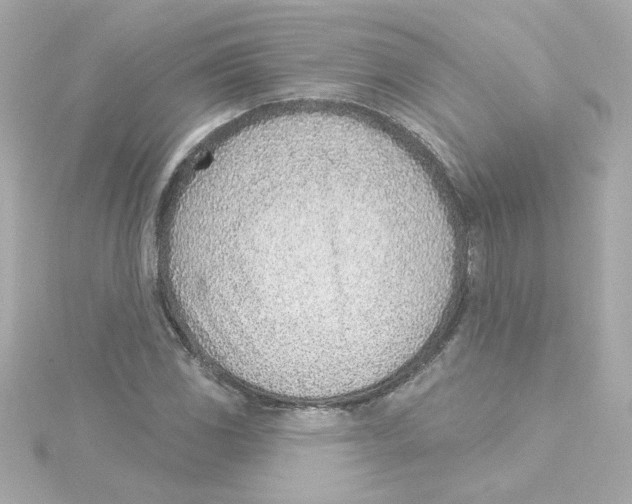 X0000115251117200911271859