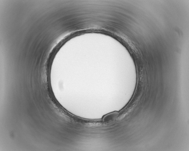 X0000115251118200911271859