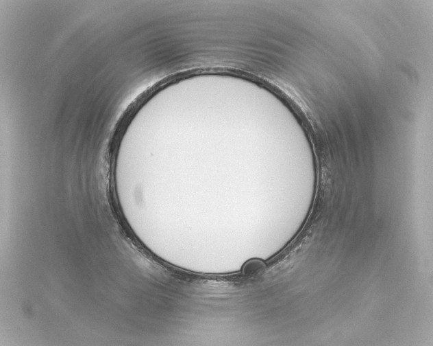 X0000115251119200911271859