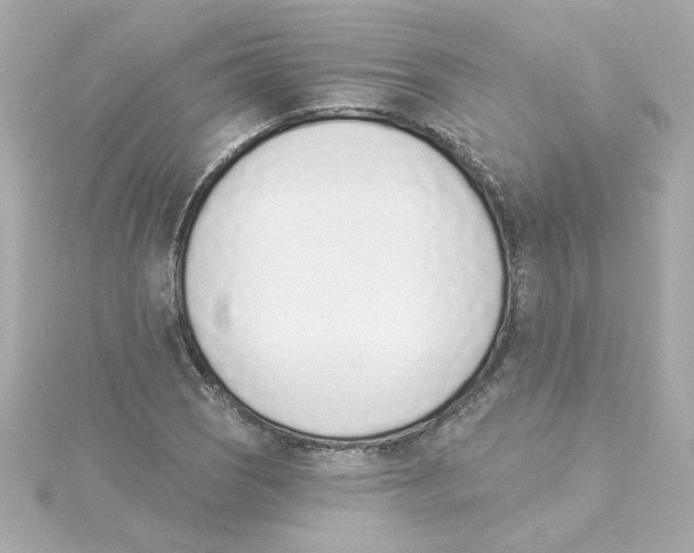 X0000115251121200911271859