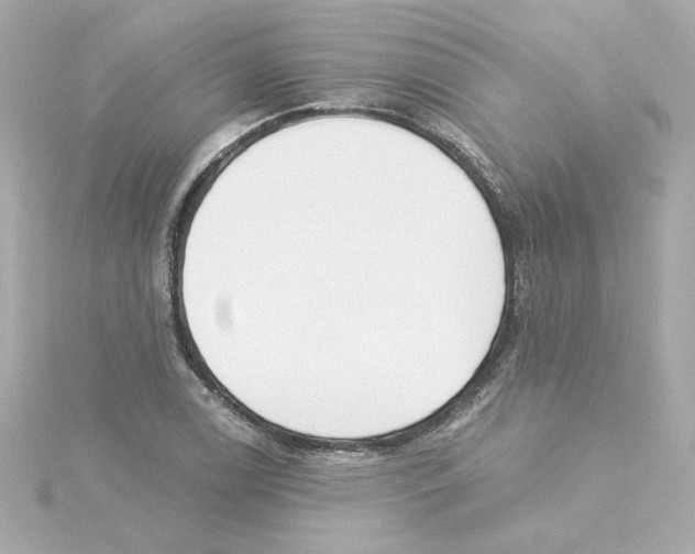 X0000115251122200911271859