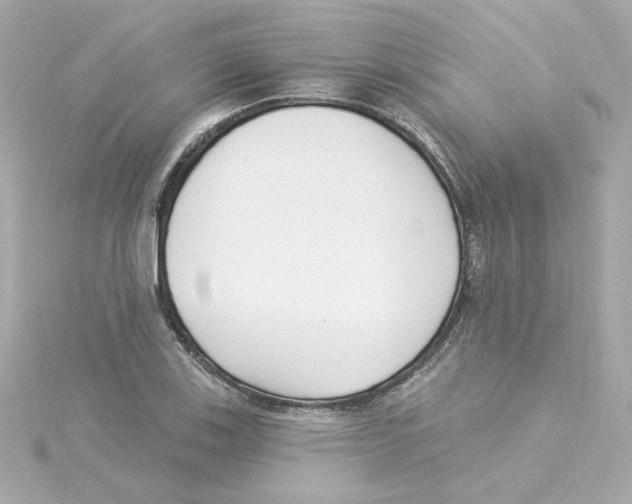 X0000115251123200911271859