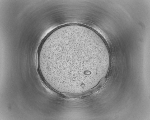 X0000115251127200911271859