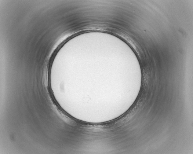 X0000115251131200911271859