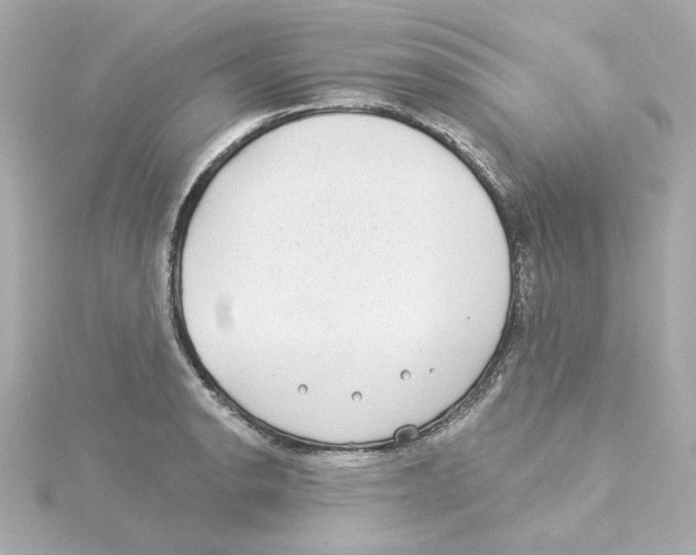 X0000115251134200911271859