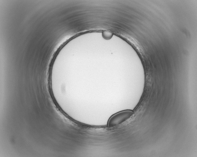 X0000115251135200911271859