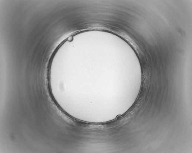 X0000115251142200911271859