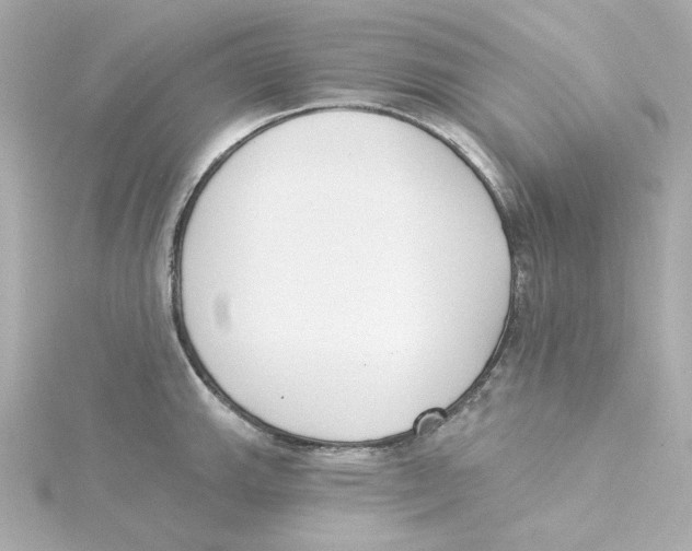 X0000115251143200911271859