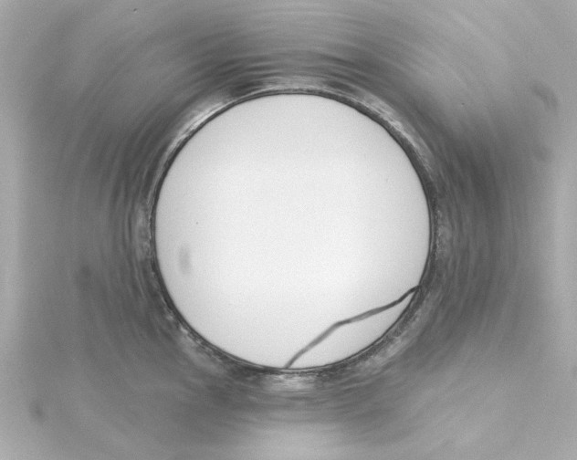 X0000115251145200911271859