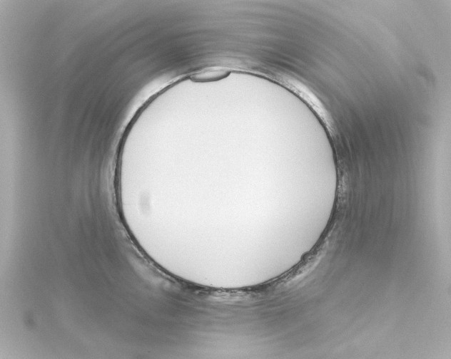 X0000115251146200911271859