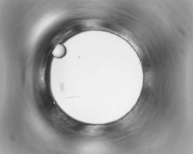 X0000115251150200911271859