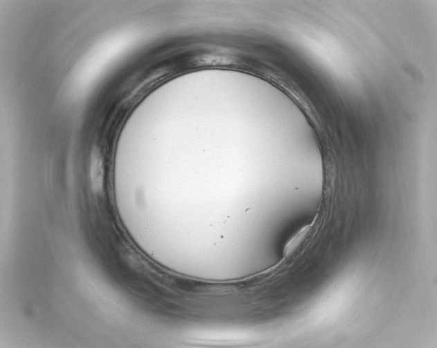 X0000115251151200911271859