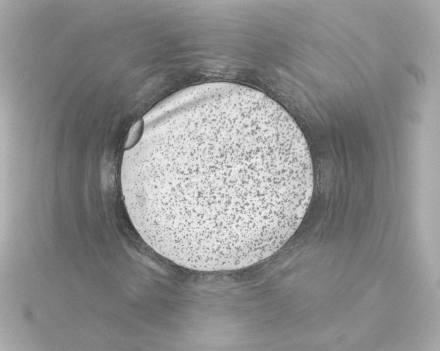 X0000115251154200911271859